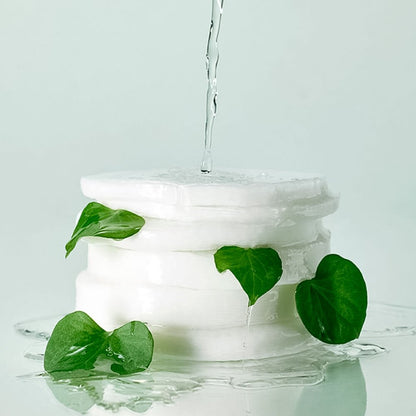 Celimax Ji Woo Gae One Step Mild Cleansing Pad